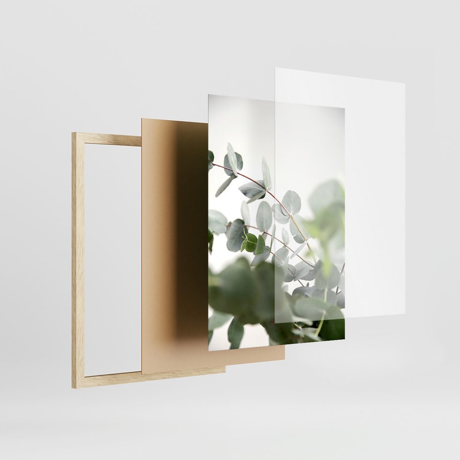 Zestaw obrazy w ramie, plakaty - eukaliptus, liście, roślina - rama drewno