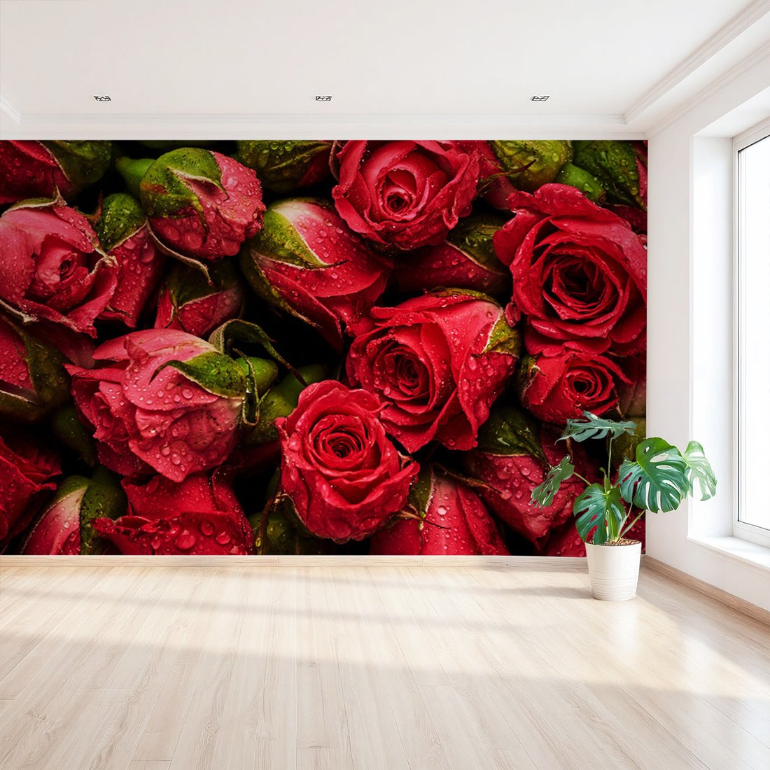 Fototapeta - róże, kwiaty, czerwone