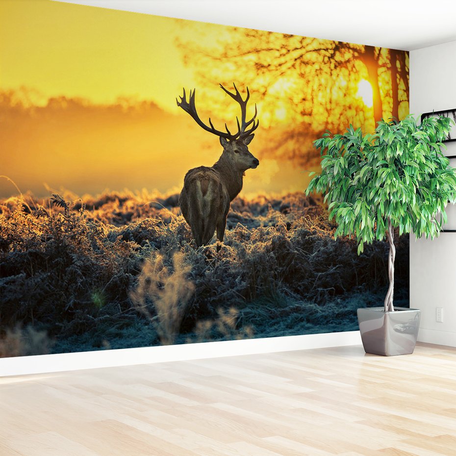 Fototapeta - jeleń, poroże, natura