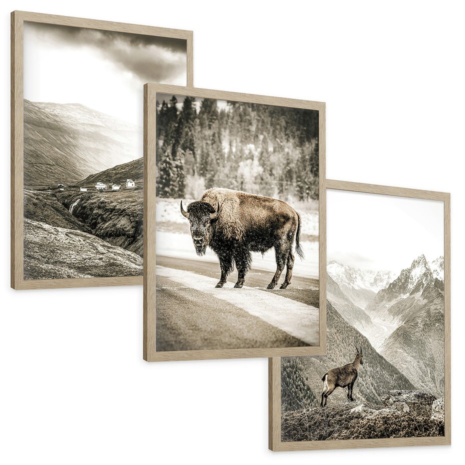 Zestaw obrazy w ramie, plakaty - krajobraz, zwierzę, góry - rama drewno
