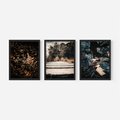 Zestaw obrazy w ramie, plakaty - natura, liście, drzewa - rama czarna