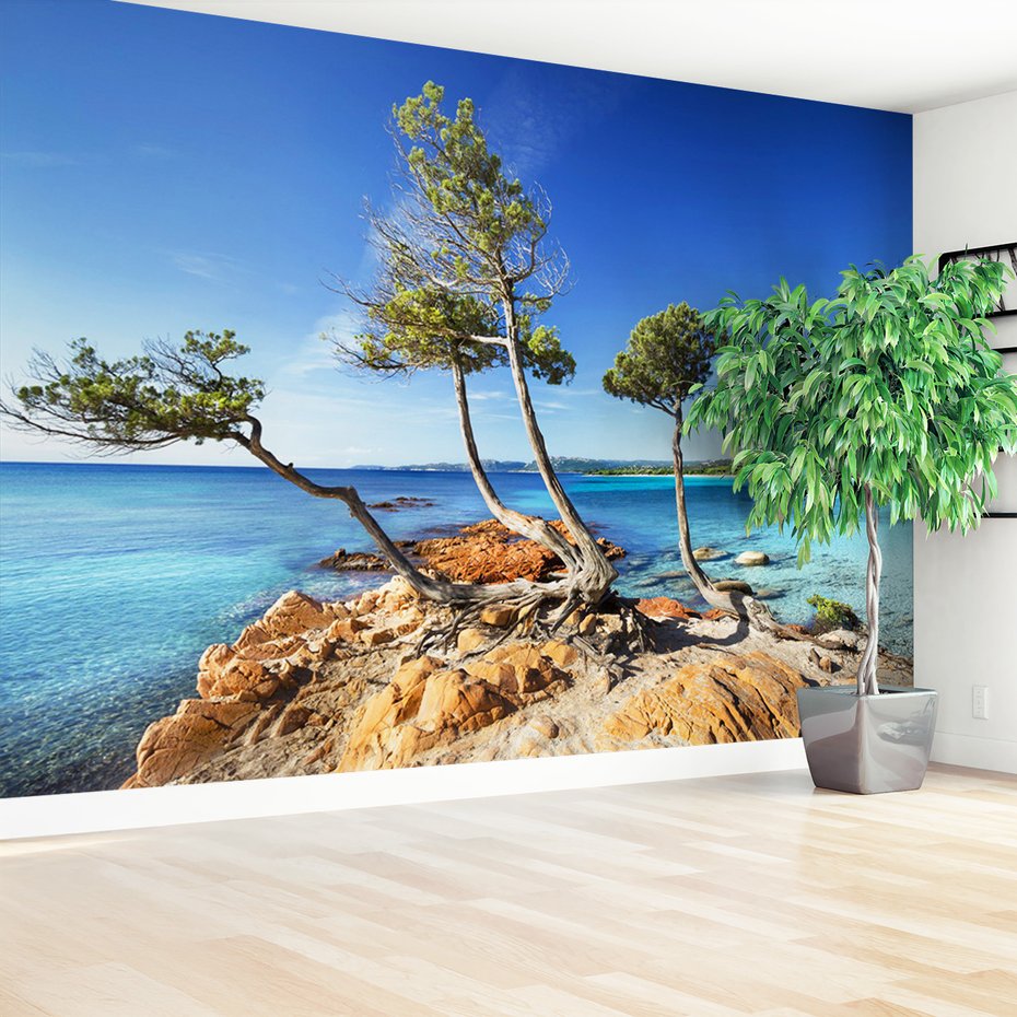 Fototapeta - plaża, morze, drzewa