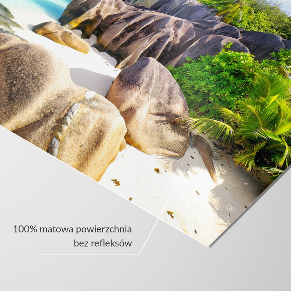 Fototapeta - plaża, skały, palmy