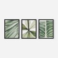 Zestaw obrazy w ramie, plakaty - liście, tropikalne, zielone - rama czarna