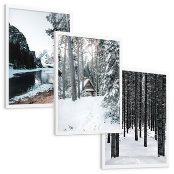 Zestaw obrazy w ramie, plakaty - zima, śnieg, las - rama biała