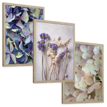 Zestaw obrazy w ramie, plakaty - kwiaty, hortensje, suszone kwiaty - rama drewno