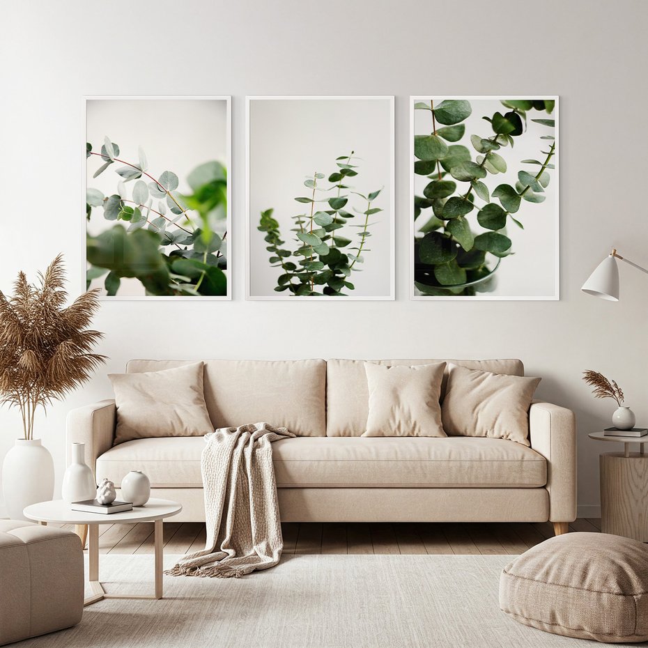 Zestaw obrazy w ramie, plakaty - eukaliptus, liście, roślina - rama biała
