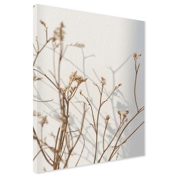Obraz na płótnie - kwiaty, suszone, brązowe