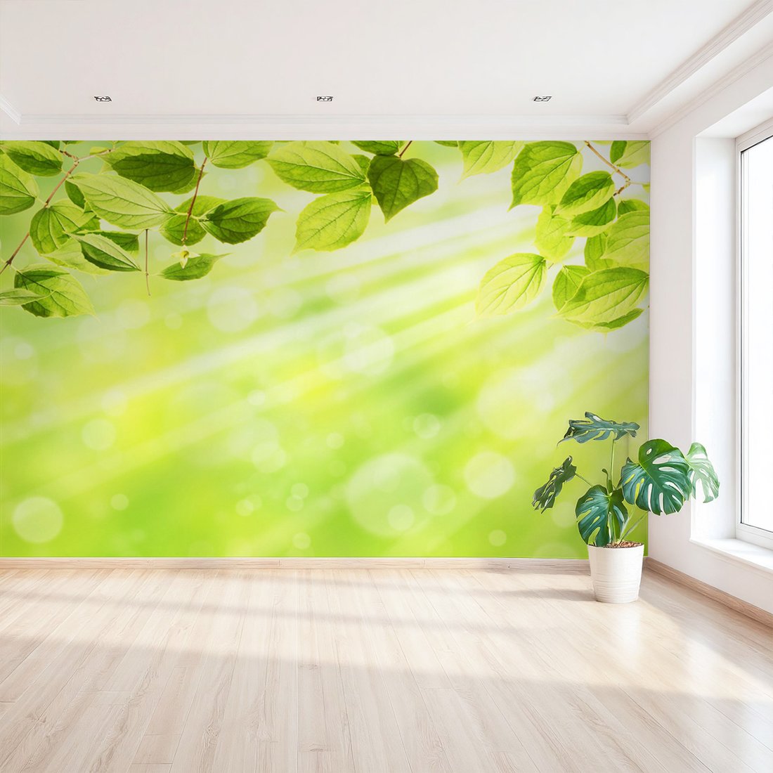 Fototapeta - liście, światło, natura