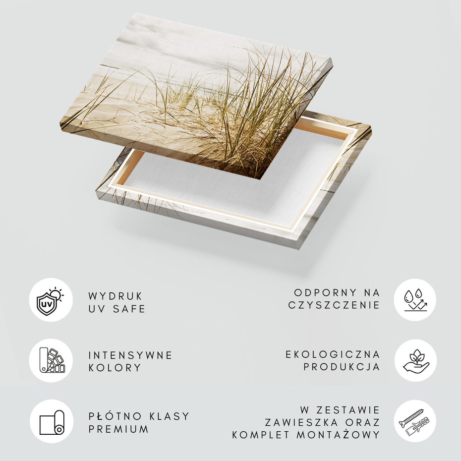 Obraz na płótnie - plaża, trawa, morze