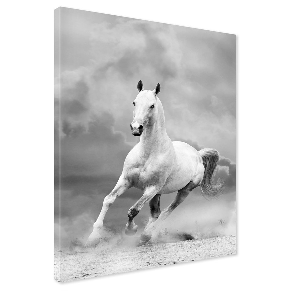 Obraz na płótnie - koń, zwierzę, galop