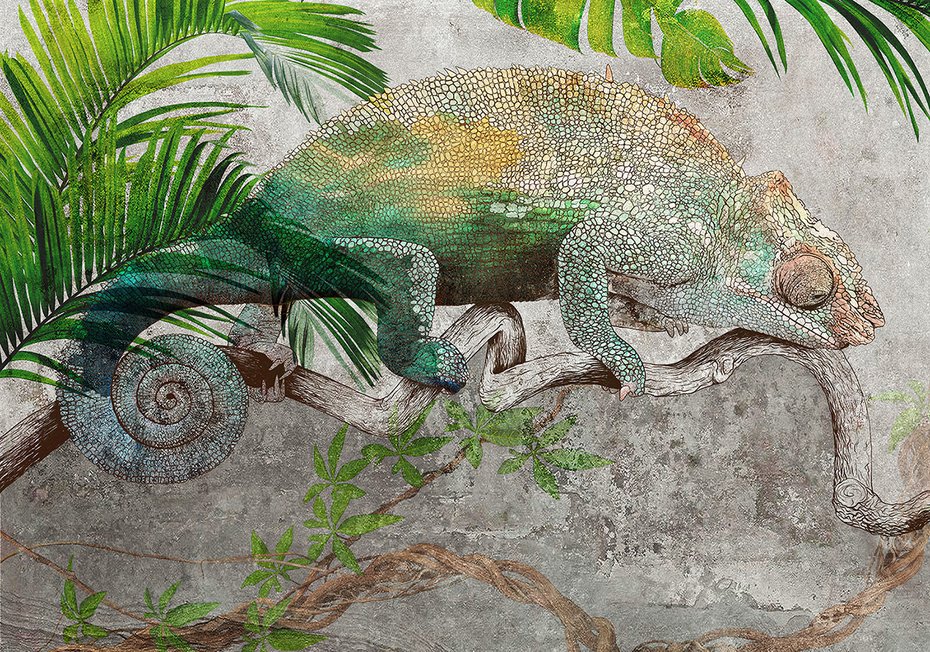 Fototapeta - beton, kameleon, tropikalne