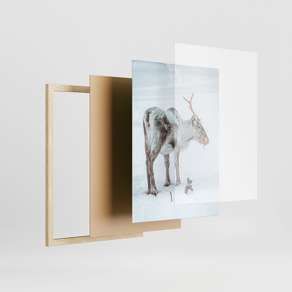 Zestaw obrazy w ramie, plakaty - renifer, śnieg, zima - rama drewno