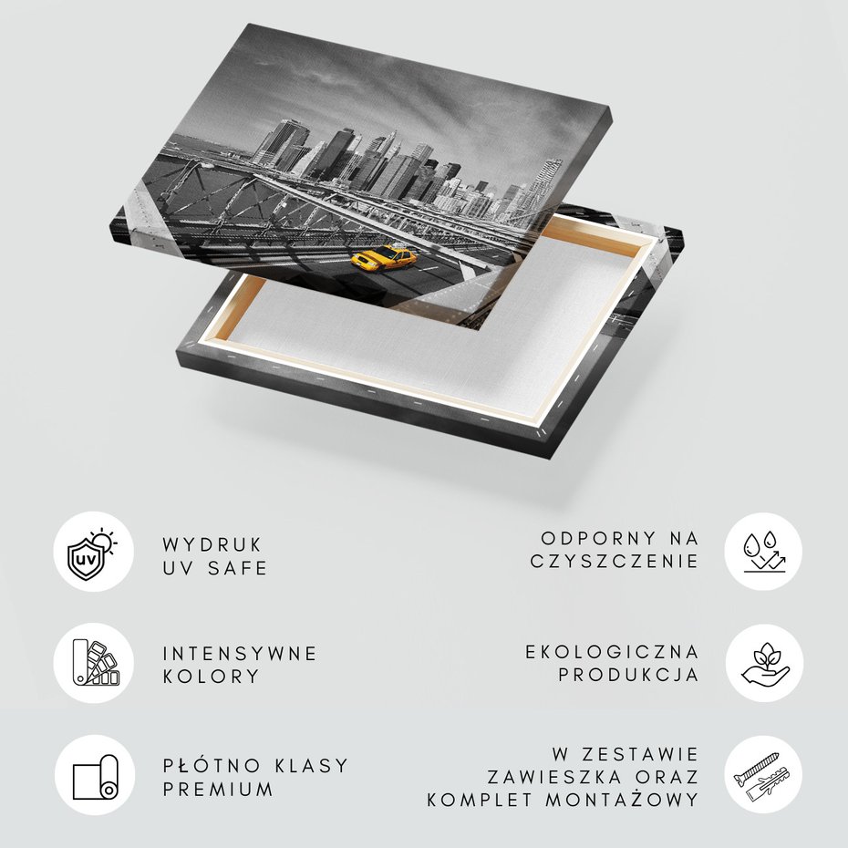 Obraz na płótnie - miasto, most, taksówka