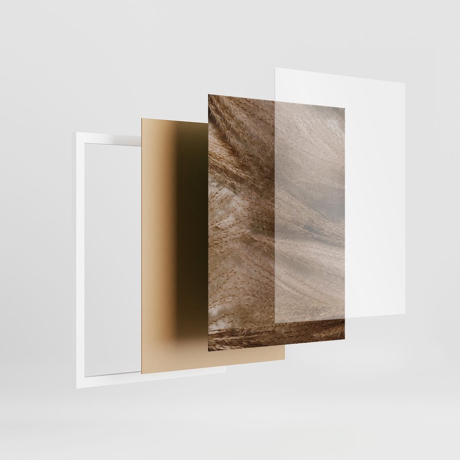 Zestaw obrazy w ramie, plakaty - rośliny, cienie, susz - rama biała