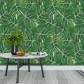 Tapeta - liście, monstera, natura