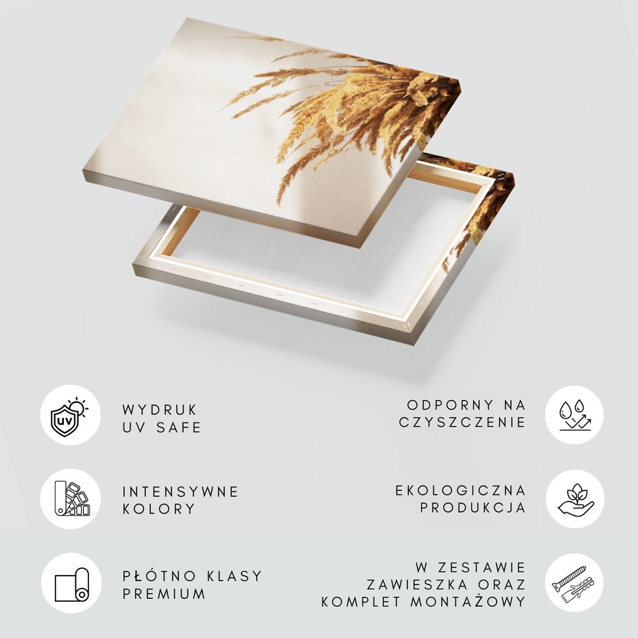 Obraz na płótnie - susz, trawa, beżowy