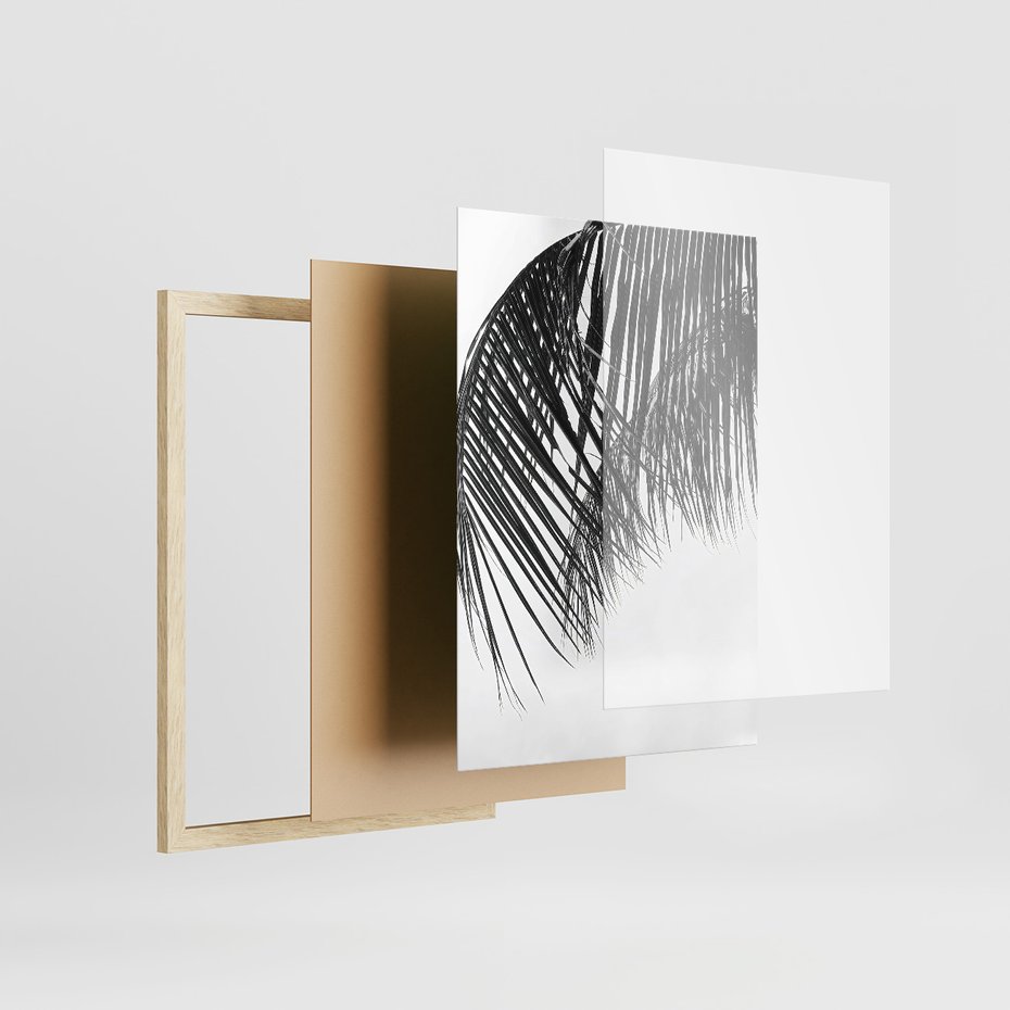 Zestaw obrazy w ramie, plakaty - liście,roślina,czarny - rama drewno