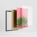 Zestaw obrazy w ramie, plakaty - rośliny, kaktusy, różowy - rama czarna