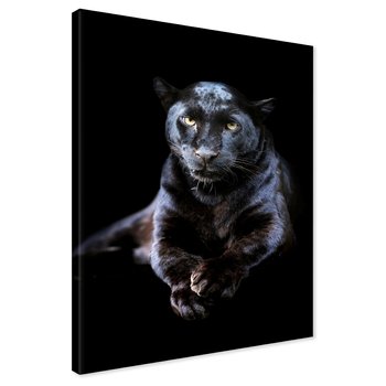 Obraz na płótnie - pantera, czarna, kot