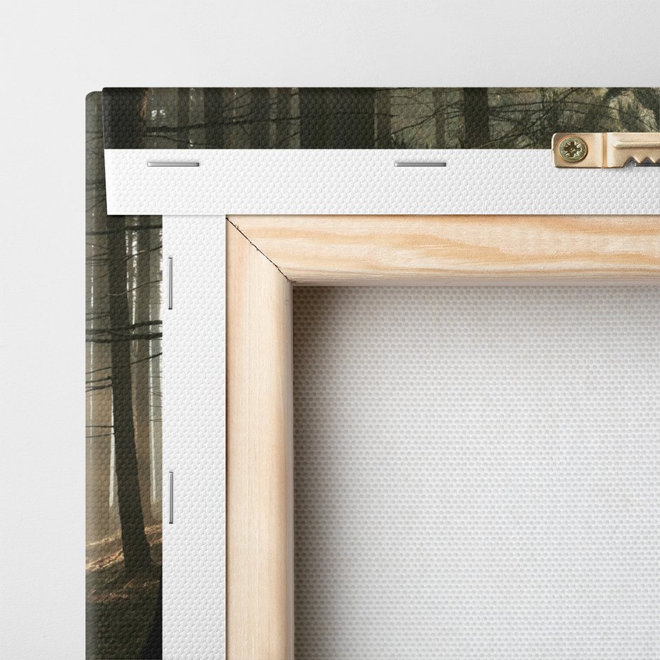 Obraz na płótnie - las, drzewa, mgła