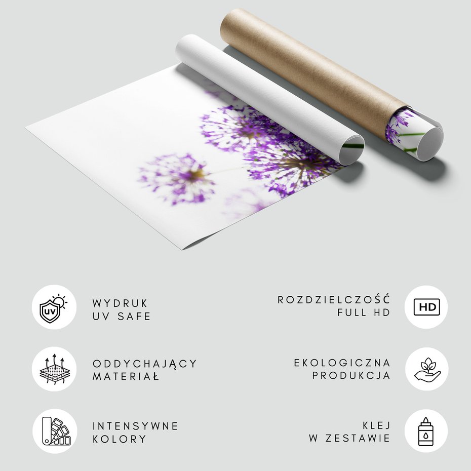 Fototapeta - kwiat, fioletowy, kulisty