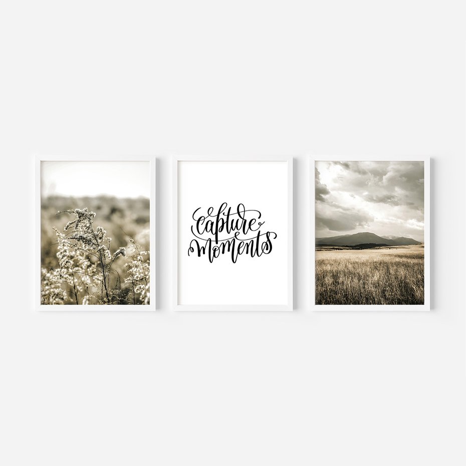 Zestaw obrazy w ramie, plakaty - natura, rośliny, góry - rama biała