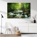 Obraz na płótnie - las, potok, woda