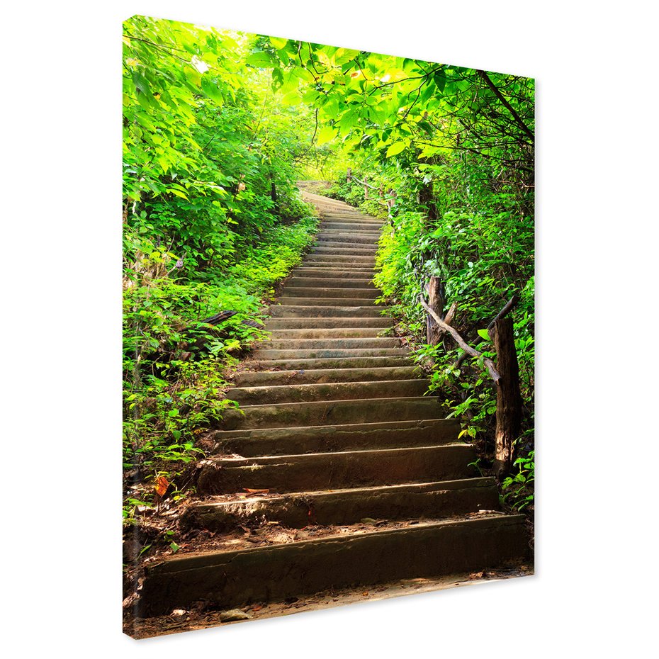Obraz na płótnie - schody, las, zieleń