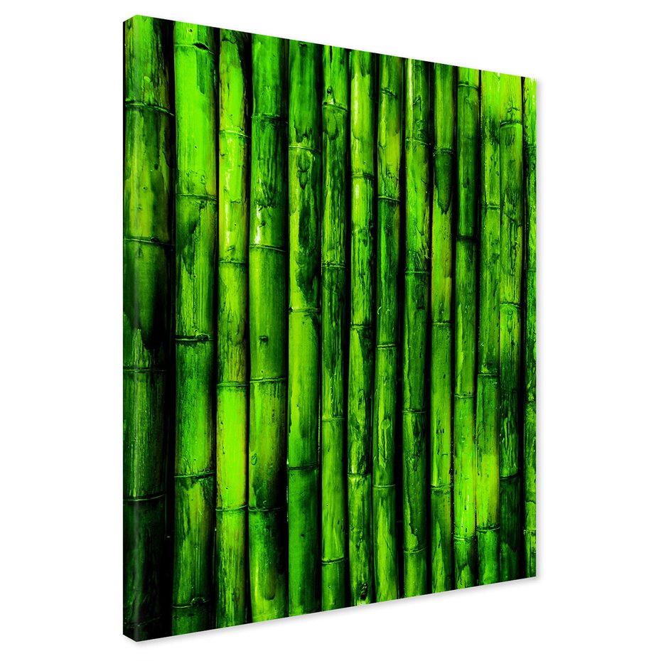 Obraz na płótnie - bambus, zielony, roślina