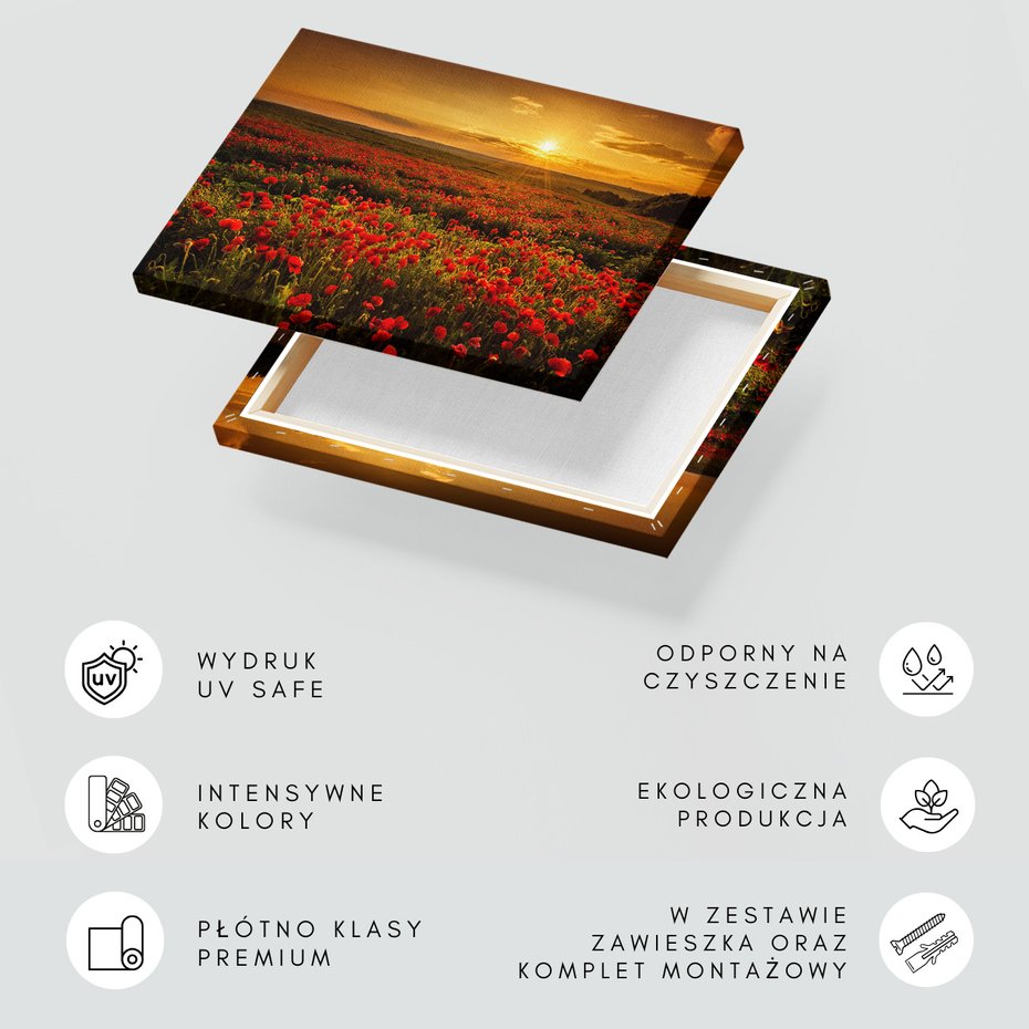 Obraz na płótnie - maki, pole, zachód słońca
