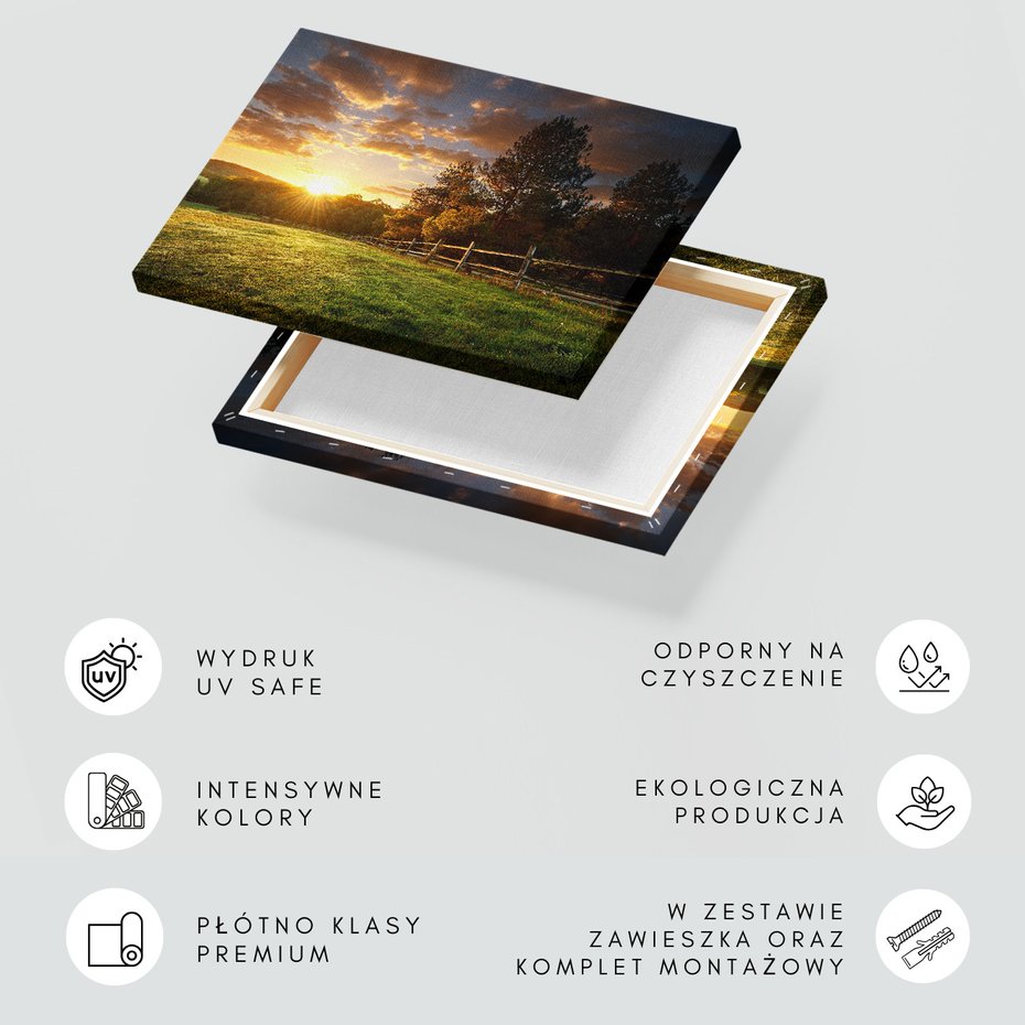 Obraz na płótnie - zachód słońca, trawa, drzewa