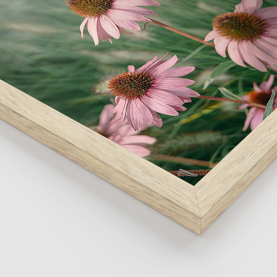 Zestaw obrazy w ramie, plakaty - kwiaty, trawa, rośliny - rama drewno