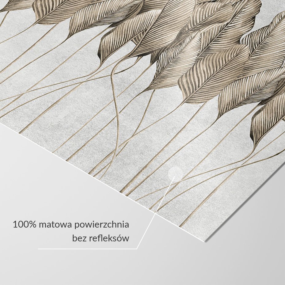 Fototapeta - beton, duże, liście