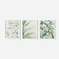 Zestaw obrazy w ramie, plakaty - liście, roślina, gałązka - rama biała
