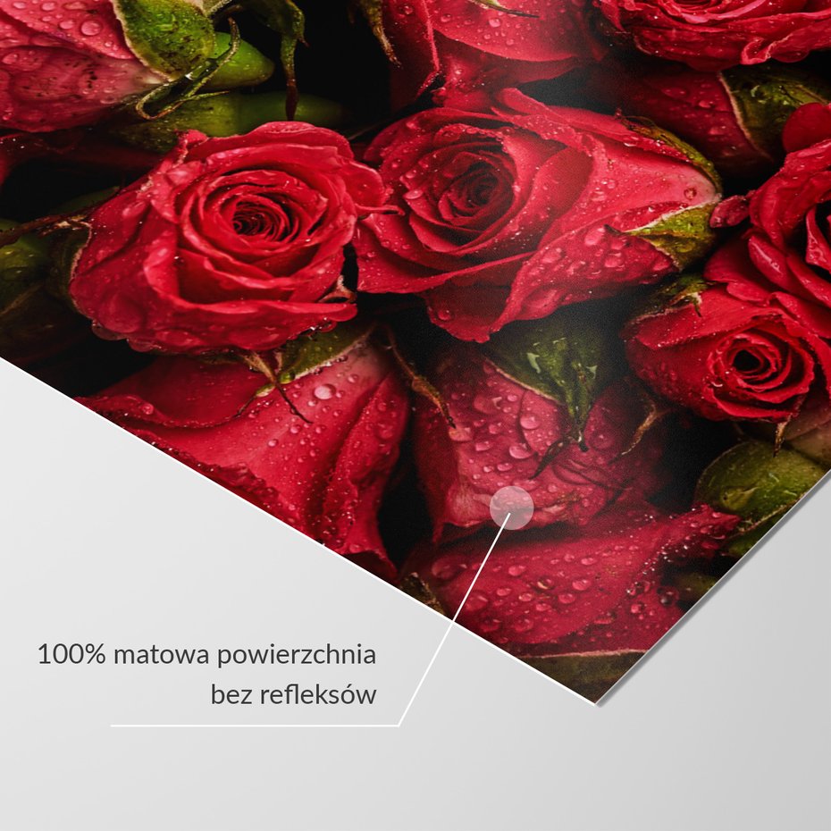 Fototapeta - róże, kwiaty, czerwone