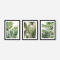 Zestaw obrazy w ramie, plakaty - liście, tropikalny, rośliny - rama czarna