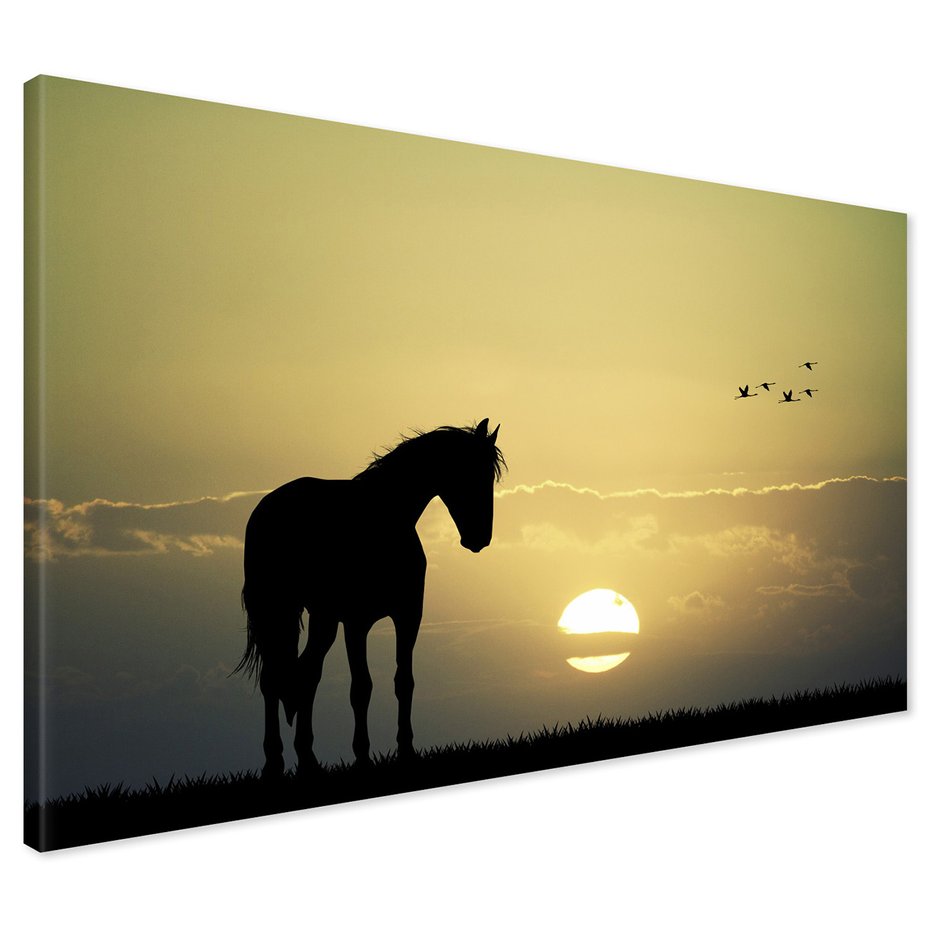 Obraz na płótnie - koń, zachód słońca, ptaki