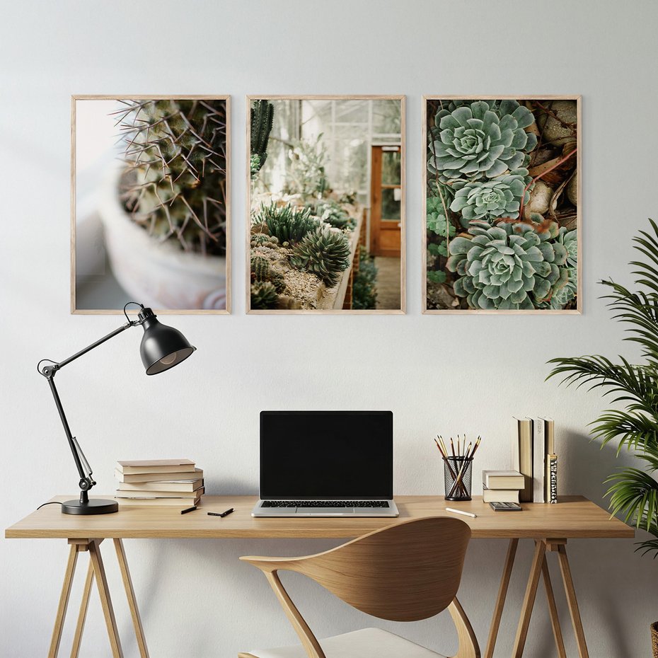 Zestaw obrazy w ramie, plakaty - kaktus, sukulenty, rośliny - rama drewno