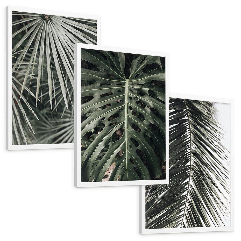 Zestaw obrazy w ramie, plakaty - liście, palmy, tropikalne - rama biała