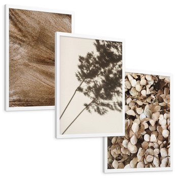 Zestaw obrazy w ramie, plakaty - rośliny, cienie, susz - rama biała