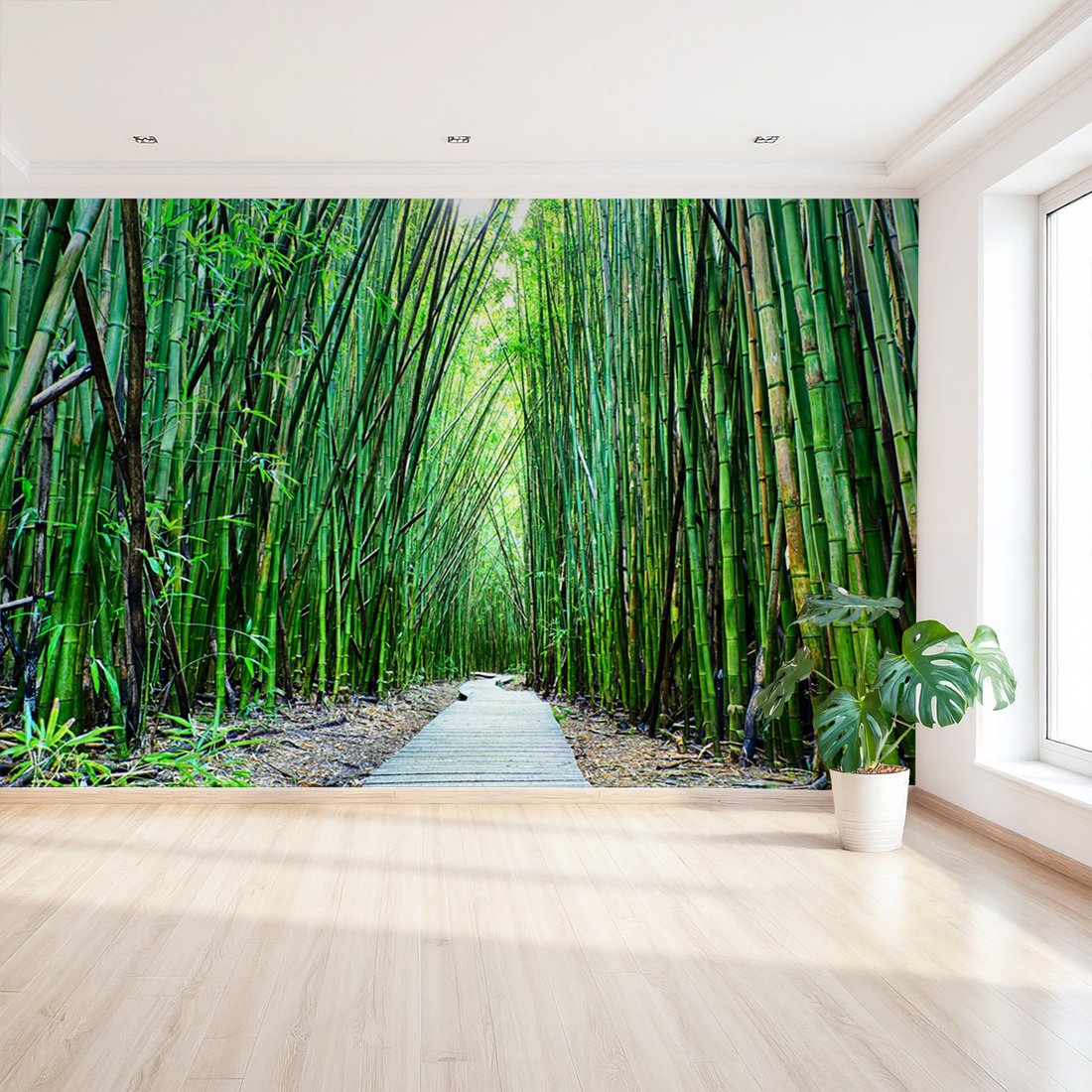 Fototapeta - bambus, las, ścieżka