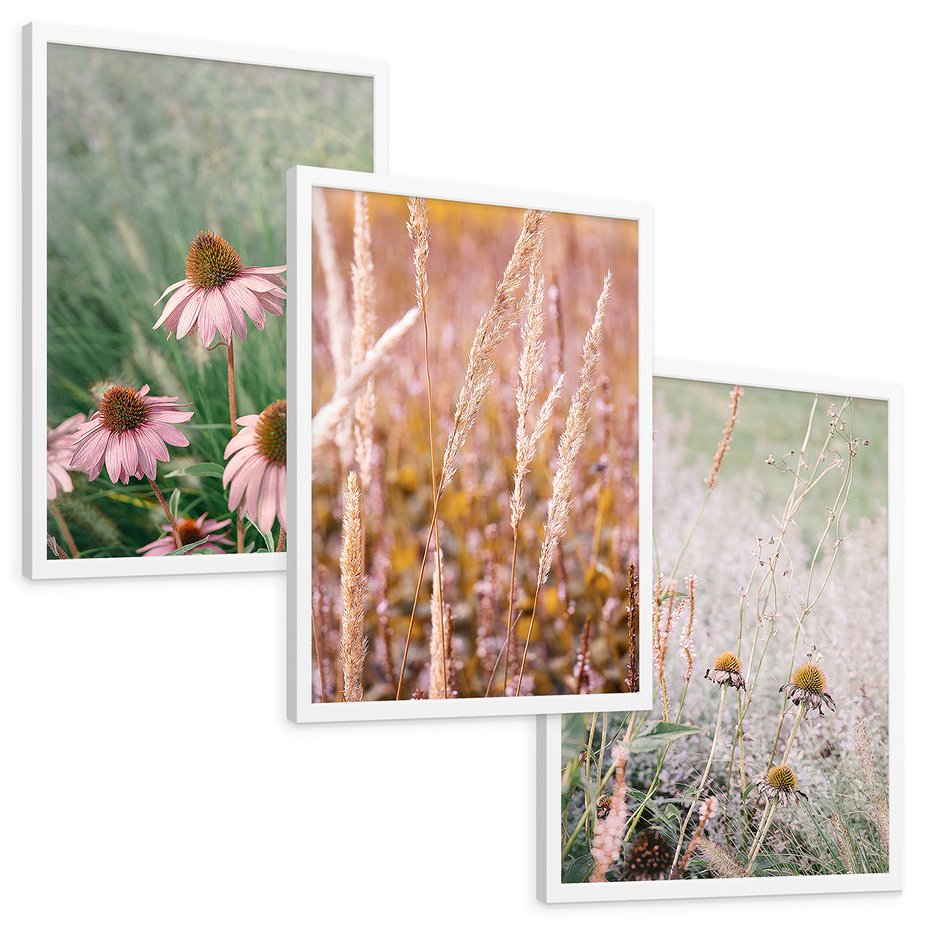 Zestaw obrazy w ramie, plakaty - kwiaty, trawa, rośliny - rama biała