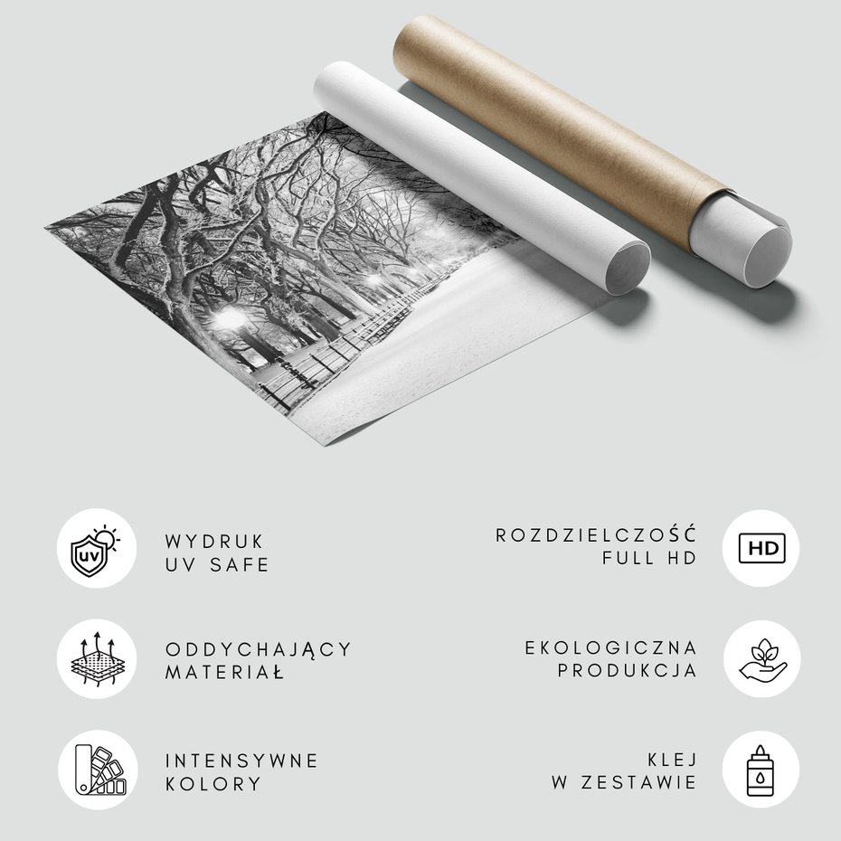 Fototapeta - zima, śnieg, park