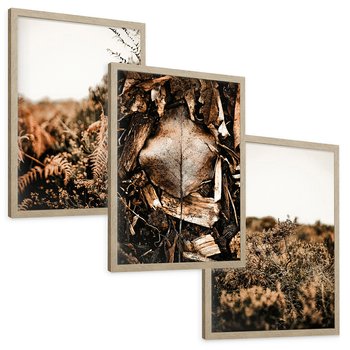 Zestaw obrazy w ramie, plakaty - liście, roślinność, brązowy - rama drewno