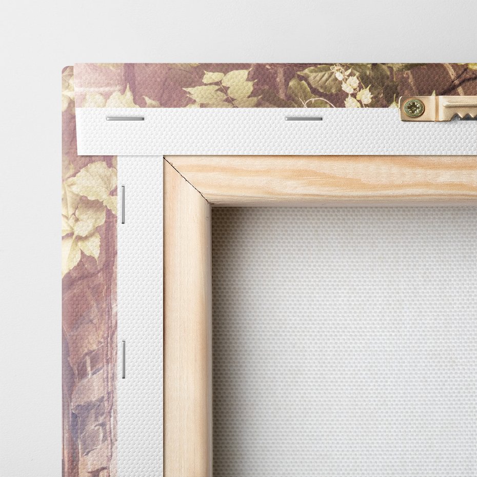 Obraz na płótnie - drzwi, kwiaty, rośliny