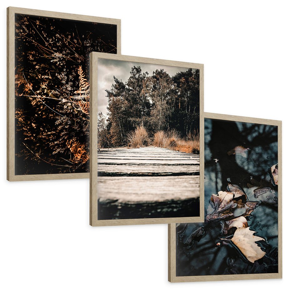 Zestaw obrazy w ramie, plakaty - natura, liście, drzewa - rama drewno