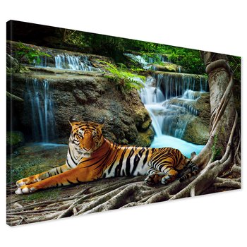 Obraz na płótnie - tygrys, wodospad, dżungla