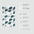 Tapeta - liście, ginkgo, natura