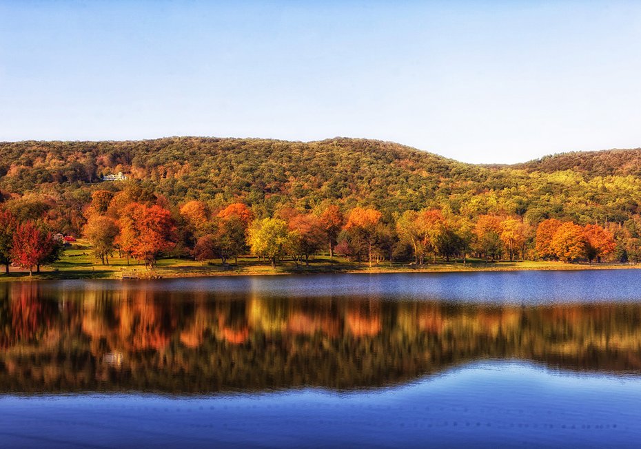 Fototapeta - jezioro, las, jesień